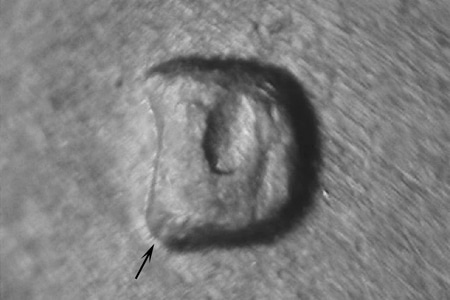 lc76dwrpm-001-01.jpg lc76dwrpm-001-01.jpg