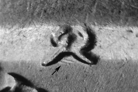 kh71dwrpm-003-03.jpg kh71dwrpm-003-03.jpg