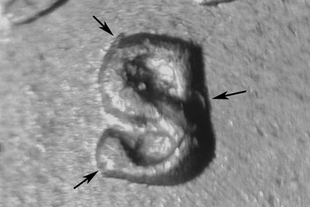 1950-s_wrpm-020_2_.jpg 1950-s_wrpm-020_2_.jpg