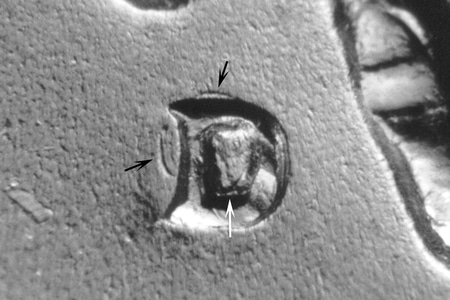 kh64dwrpm-007-01.jpg kh64dwrpm-007-01.jpg