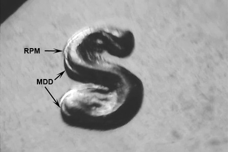 kh72swrpm-001-01.jpg kh72swrpm-001-01.jpg