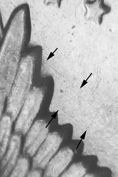 kh73dwrpm-001-05.jpg kh73dwrpm-001-05.jpg