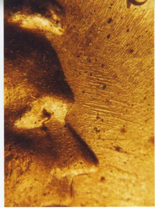 1968-s_wrpm-004_final_4_.jpg 1968-s_wrpm-004_final_4_.jpg