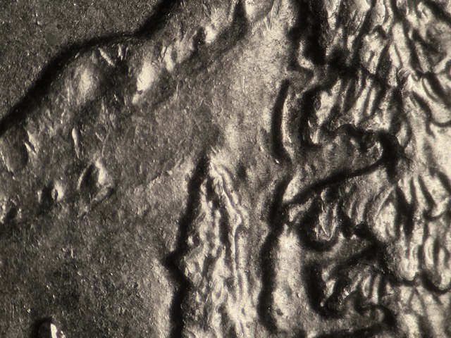 19p25cidsddr1_5_.jpg 19p25cidsddr1_5_.jpg