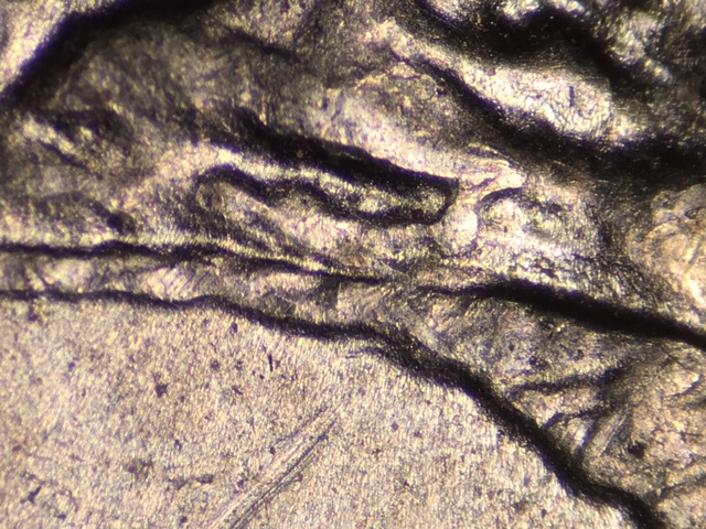 15p25cnccrdr4_1_.jpeg 15p25cnccrdr4_1_.jpeg