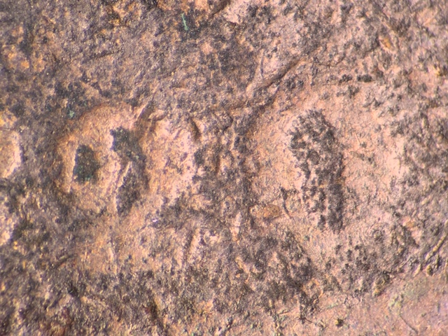 18201ccrod1_1_.jpeg 18201ccrod1_1_.jpeg