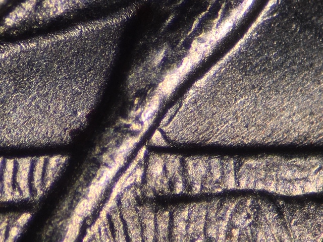 18p25cgacrdr1_1_.jpeg 18p25cgacrdr1_1_.jpeg