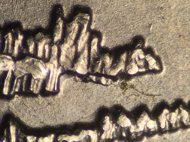 15p25cdecrdr24_1_.jpeg 15p25cdecrdr24_1_.jpeg