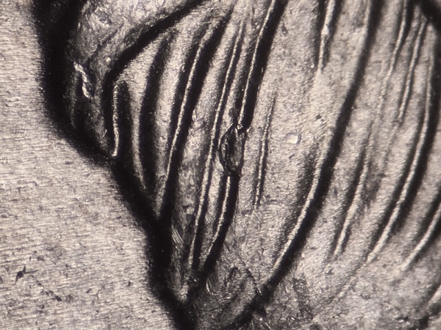 14p5ccrdr29_2_.jpeg 14p5ccrdr29_2_.jpeg