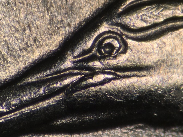 15p25cdecrdr21_4_.jpeg 15p25cdecrdr21_4_.jpeg