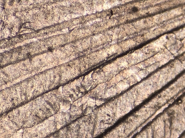 15p25clacrdr4_1_.jpeg 15p25clacrdr4_1_.jpeg