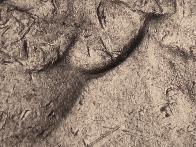 12p25chicrdo1_1_.jpeg 12p25chicrdo1_1_.jpeg