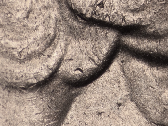 15p25cnccrdo1_1_.jpeg 15p25cnccrdo1_1_.jpeg