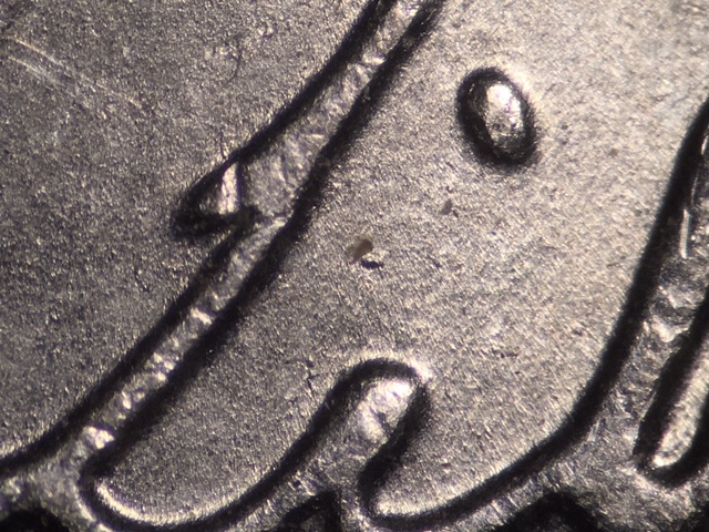 14p5ccrdr31_3_.jpeg 14p5ccrdr31_3_.jpeg