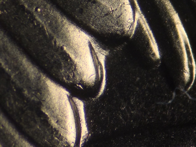 18p25cricrdr8_1_.jpeg 18p25cricrdr8_1_.jpeg