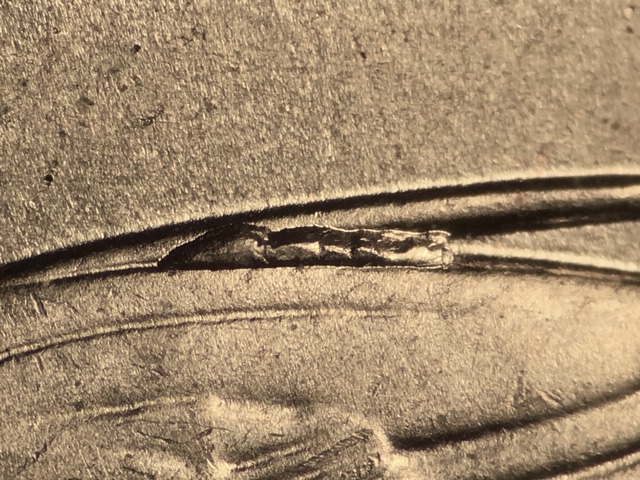 18p25cricrdr3_10_.jpeg 18p25cricrdr3_10_.jpeg