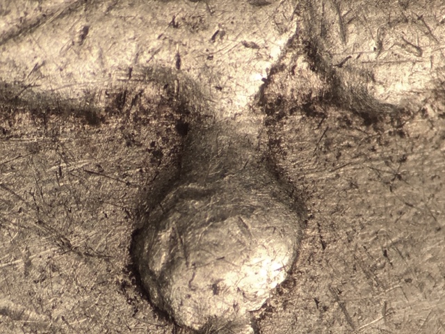 5150ccrdr1_8_.jpeg 5150ccrdr1_8_.jpeg