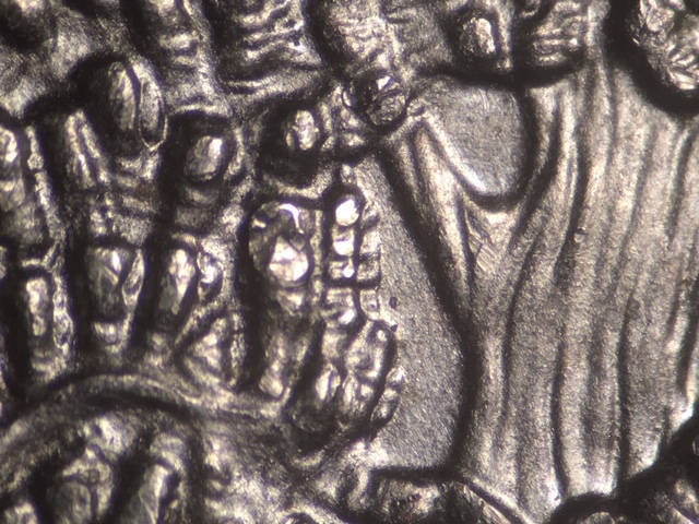 13p25cnvcrdr3_2_.jpeg 13p25cnvcrdr3_2_.jpeg