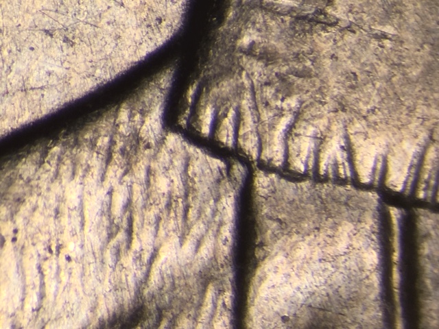 16p25ckycrdr11_1_.jpeg 16p25ckycrdr11_1_.jpeg