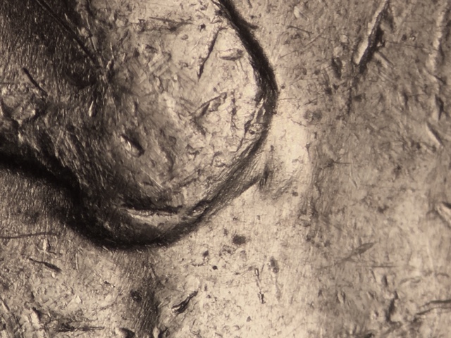 13p5ccrdo9_1_.jpeg 13p5ccrdo9_1_.jpeg