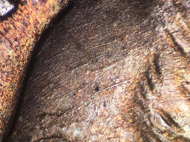 1946d10ccrdo1_13_.jpeg 1946d10ccrdo1_13_.jpeg