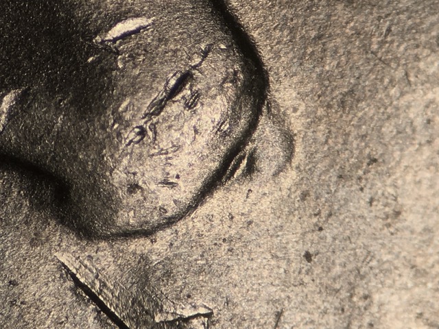 17p5ccrdo1_1_.jpeg 17p5ccrdo1_1_.jpeg