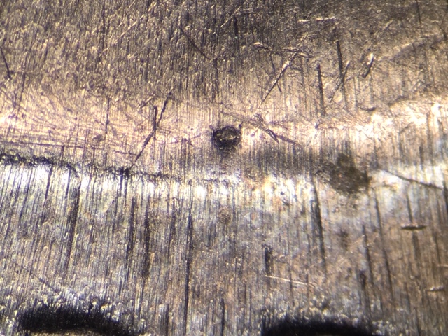 15p25cdecrdr5_2_.jpeg 15p25cdecrdr5_2_.jpeg