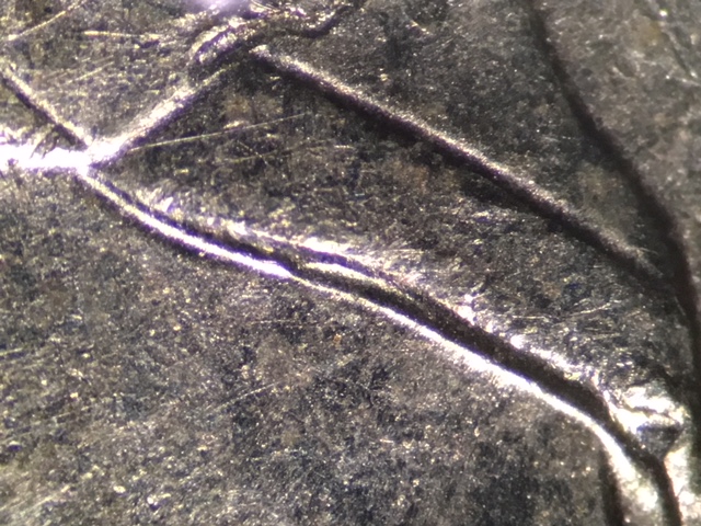 image8_3_.jpeg image8_3_.jpeg