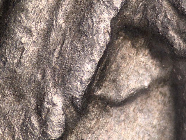 19305ccrdo4_4_.jpeg 19305ccrdo4_4_.jpeg