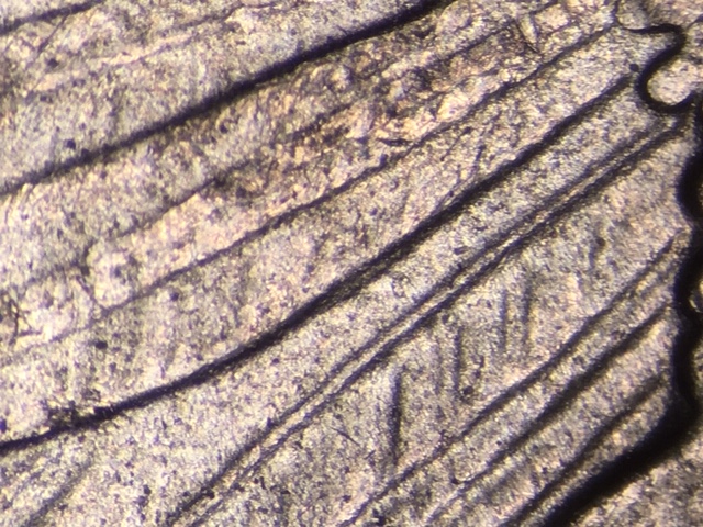 15p25clacrdr2_1_.jpeg 15p25clacrdr2_1_.jpeg