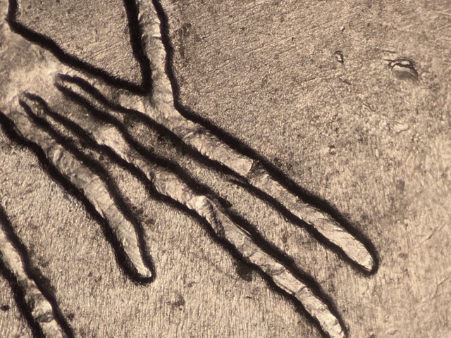 13p25cmdcrdr17_1_.jpeg 13p25cmdcrdr17_1_.jpeg