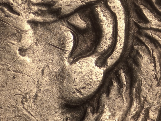 1889s1crdo1_1_.jpeg 1889s1crdo1_1_.jpeg