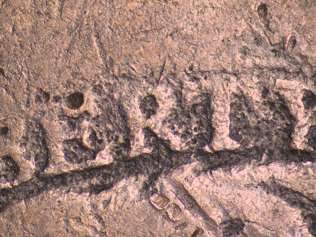 18201ccrod1_6_.jpeg 18201ccrod1_6_.jpeg