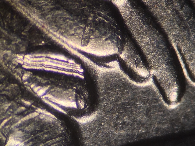 18p25cricrdr6_1_.jpeg 18p25cricrdr6_1_.jpeg