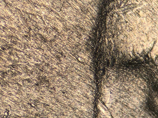 15p25cdecrdr21_3_.jpeg 15p25cdecrdr21_3_.jpeg