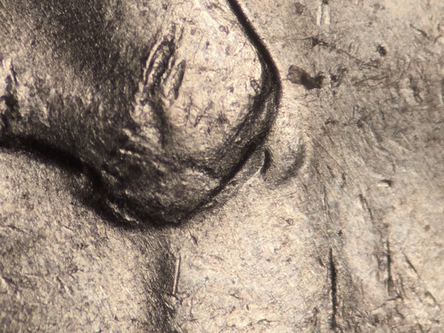 13p5ccrdo5_1_.jpeg 13p5ccrdo5_1_.jpeg