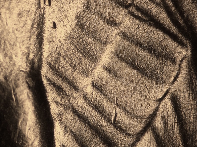 53d25ccrom1_4_.jpeg 53d25ccrom1_4_.jpeg