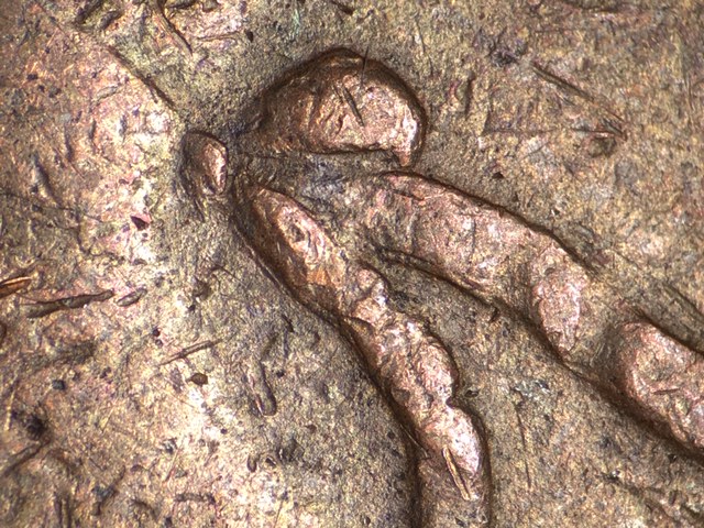 1890stse1centcrdo001_8_.jpeg 1890stse1centcrdo001_8_.jpeg