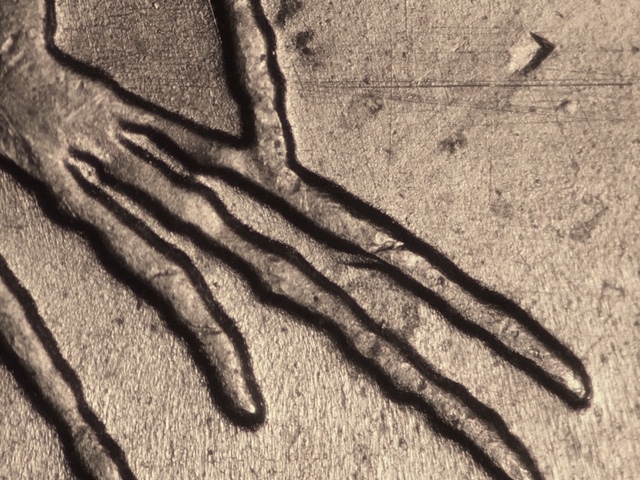 13p25cmdcrdr16_1_.jpeg 13p25cmdcrdr16_1_.jpeg