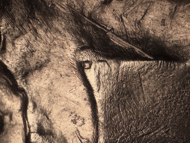 19365ccrdo2_5_.jpeg 19365ccrdo2_5_.jpeg