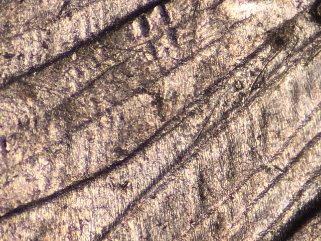 15p25clacrdr3_1_.jpeg 15p25clacrdr3_1_.jpeg