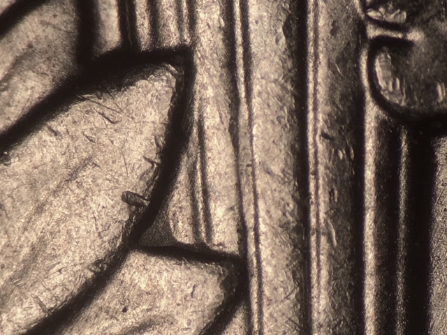 16p10ccrdr7_1_.jpeg 16p10ccrdr7_1_.jpeg