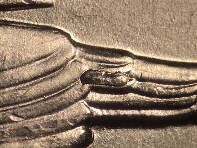 18p25cricrdr3_11_.jpeg 18p25cricrdr3_11_.jpeg