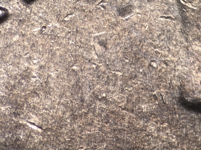 15p25cnecrdr18_2_.jpeg 15p25cnecrdr18_2_.jpeg