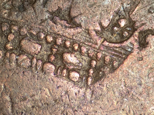 1890stse1centcrdo001_10_.jpeg 1890stse1centcrdo001_10_.jpeg