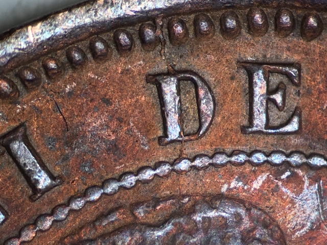 1901port5reiscrrd1_3_.jpeg 1901port5reiscrrd1_3_.jpeg