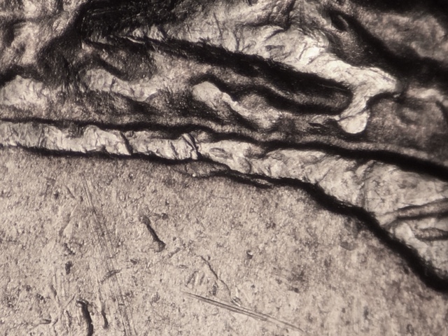 15p25cnccrdr2_1_.jpeg 15p25cnccrdr2_1_.jpeg