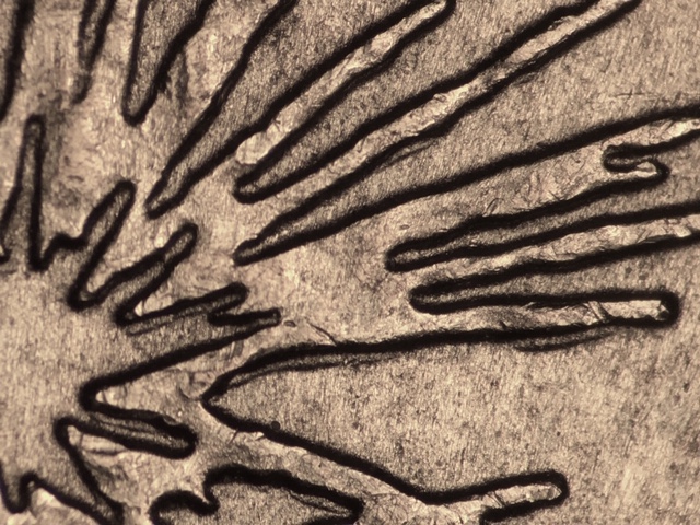 13p25cmdcrdr7_2_.jpeg 13p25cmdcrdr7_2_.jpeg