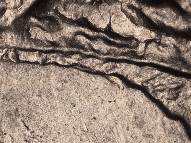 15p25cnccrdr1_1_.jpeg 15p25cnccrdr1_1_.jpeg