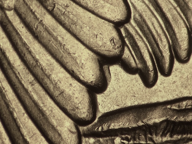 18p25cricrdr1_7_.jpeg 18p25cricrdr1_7_.jpeg